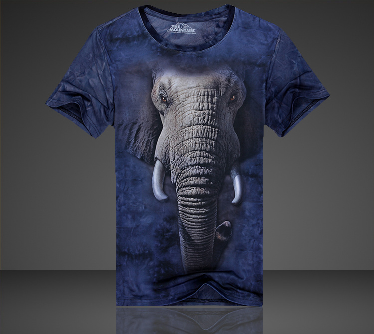 T-shirt The Mountain Homme